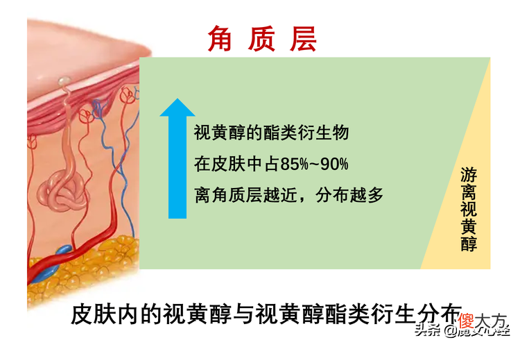 如何选适合自己的A醇产品 A醇产品推荐
