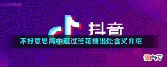 不好意思高中追过班花是什么梗| 不好意思高中追过班花是什么梗