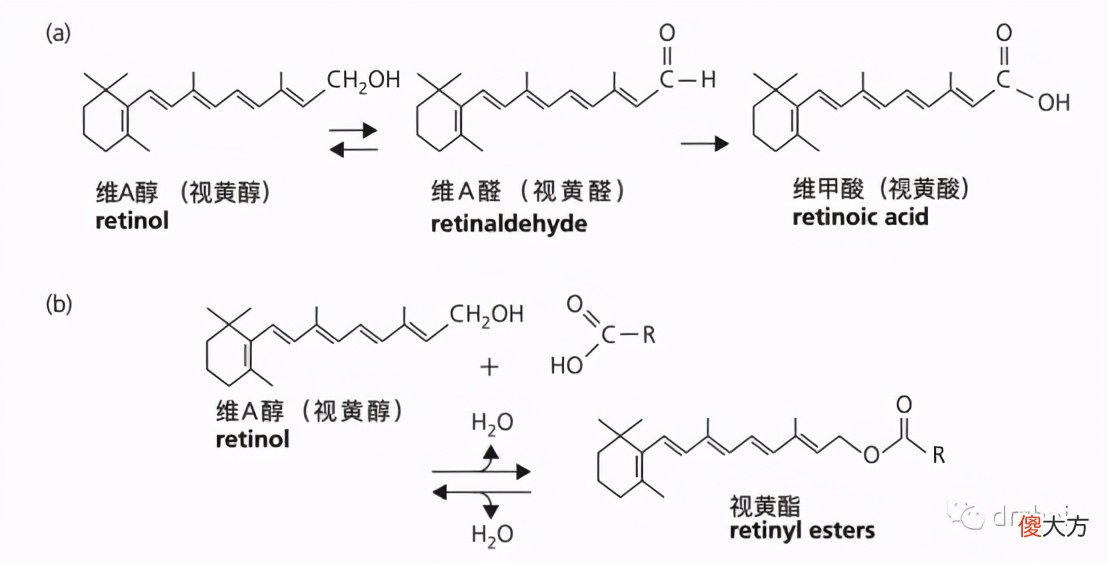 最近爆火的A醇，你用对了吗？