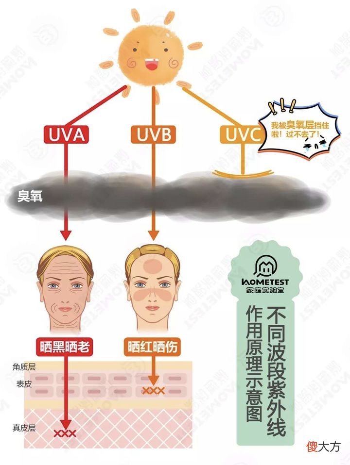 你最关心的抗衰老王者维A醇 A醇抗衰老
