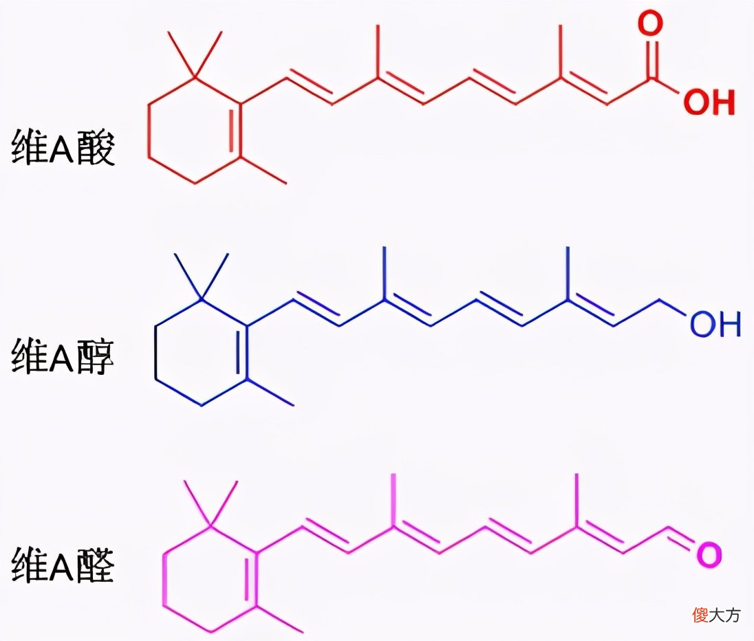 你最关心的抗衰老王者维A醇 A醇抗衰老