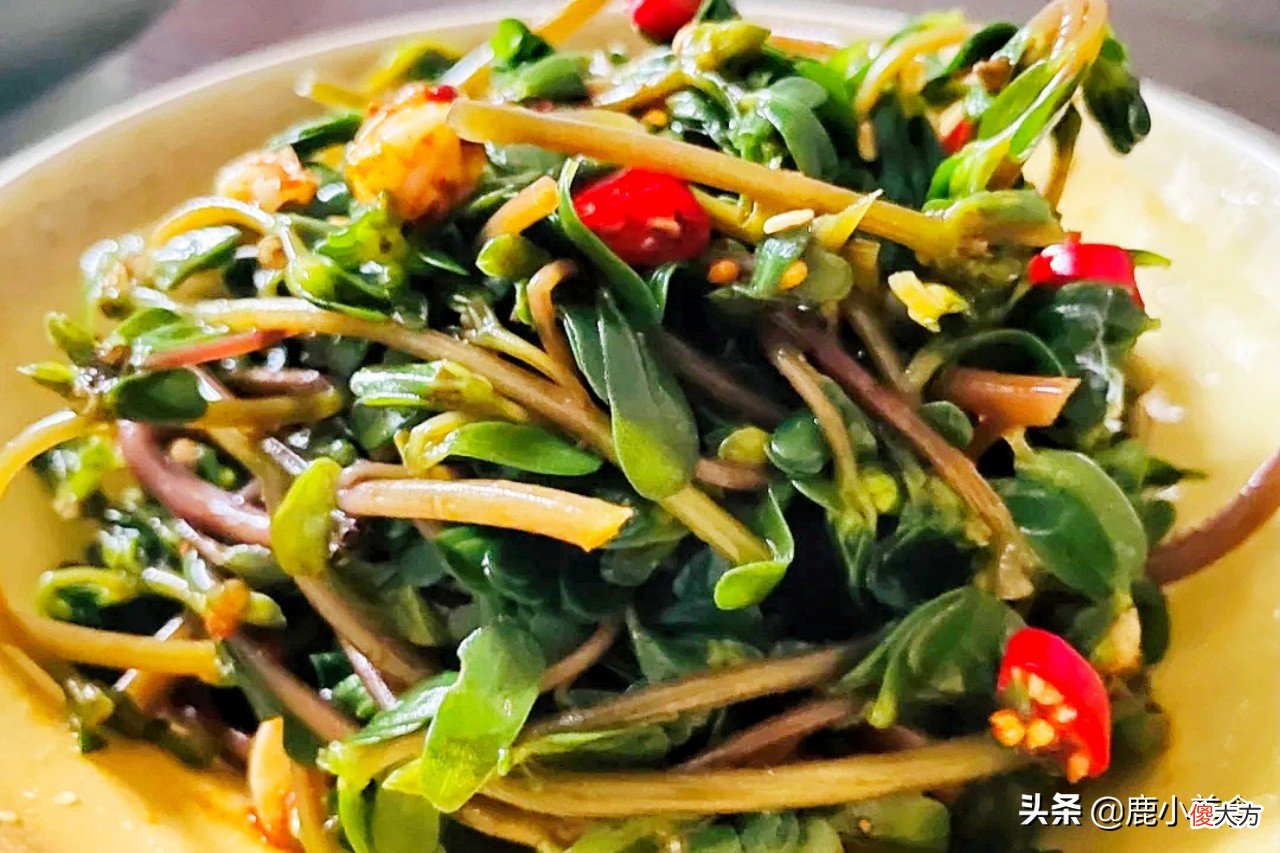 8种时令蔬菜不能少 每月时令蔬菜有哪些