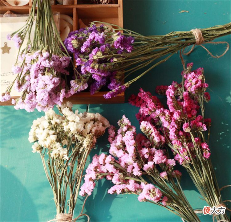 干花为什么会发霉 干花为啥会发霉
