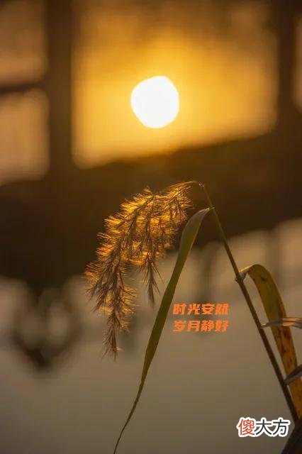 深入人心的歌词 最深入人心的歌词