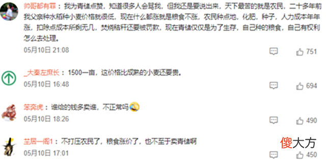 【历史故事】居安思危！齐纨鲁缟重演，“青贮小麦”会引发粮食危机吗？