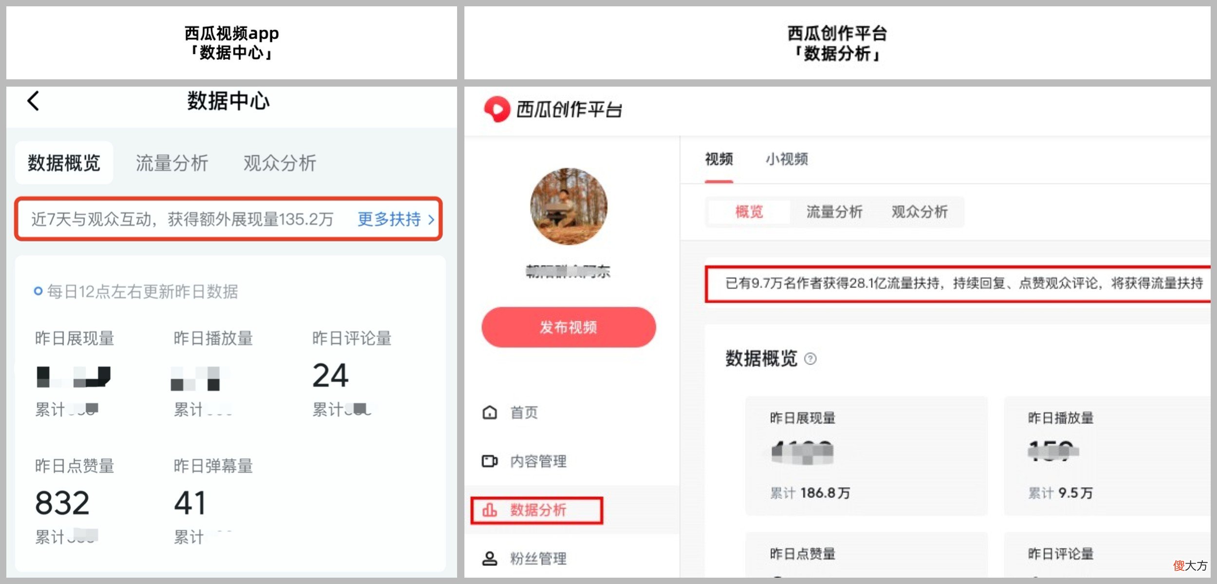 关于西瓜视频 关于西瓜视频的