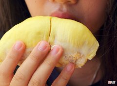 女性喂母乳时可不可以吃榴莲 母乳能不能吃榴莲
