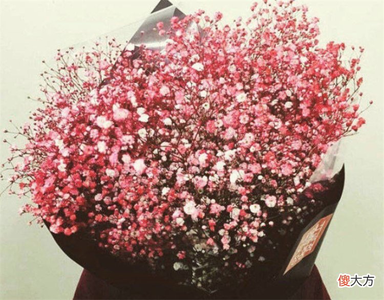 向女朋友道歉送什么花 道歉送花给女朋友送什么的