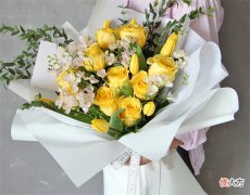 向女朋友道歉送什么花 道歉送花给女朋友送什么的