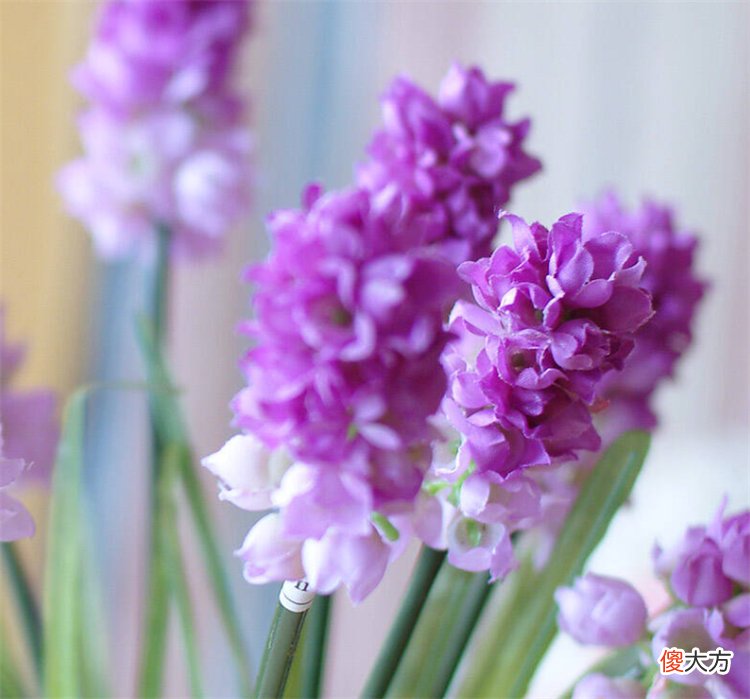 向女朋友道歉送什么花 道歉送花给女朋友送什么的