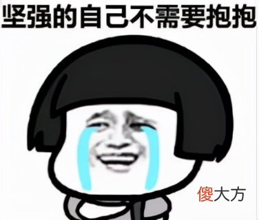 送女朋友的最佳绿植 适合送女朋友的绿植