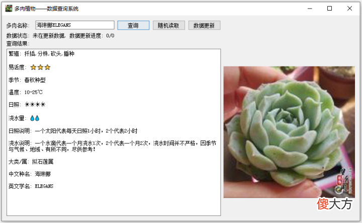 送女朋友的最佳绿植 适合送女朋友的绿植