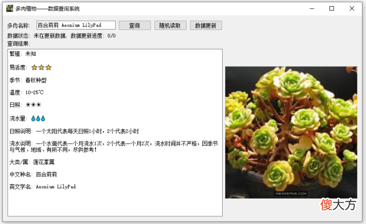 送女朋友的最佳绿植 适合送女朋友的绿植