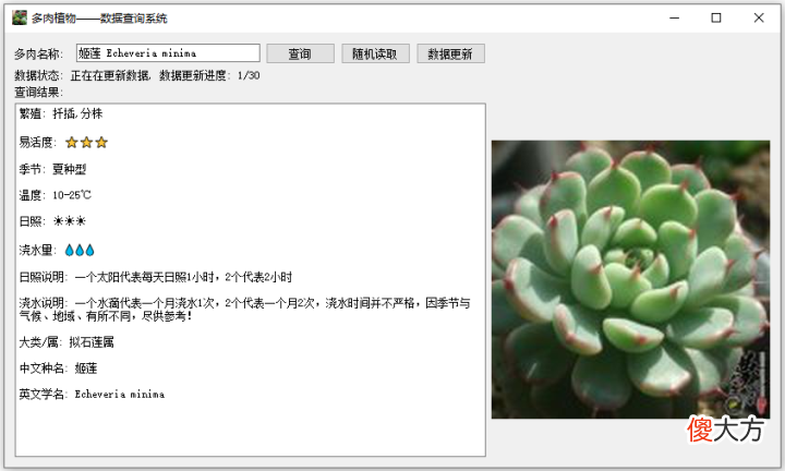 送女朋友的最佳绿植 适合送女朋友的绿植