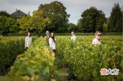 怎么才能找到高品质的红酒批发商 做酒的代理如何打市场