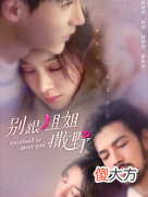 别跟姐姐撒野| 别跟姐姐撒野什么时候上映有多少集