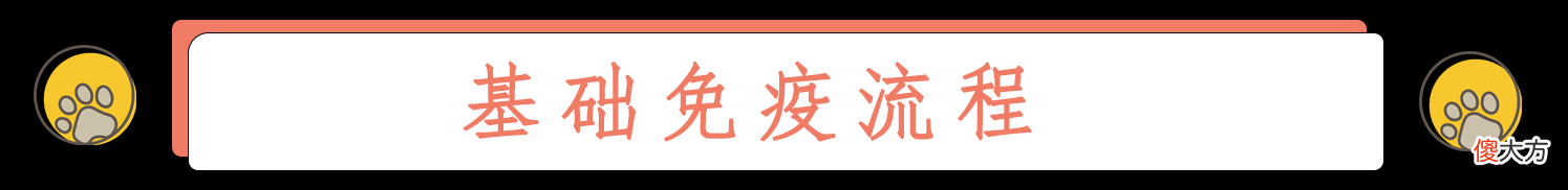 人和猫都逃不过的疫苗到底起什么作用 疫苗对猫有什么作用