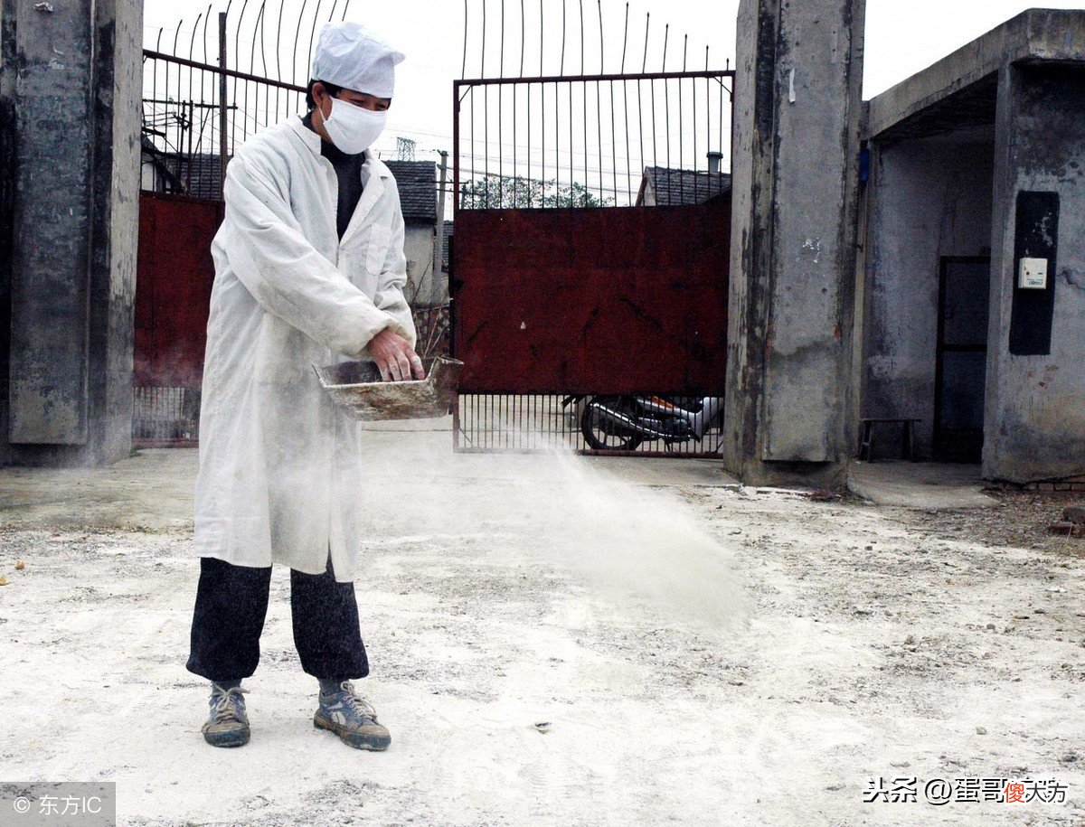 家禽八种消毒类型的选药和用法 家禽消毒用什么药