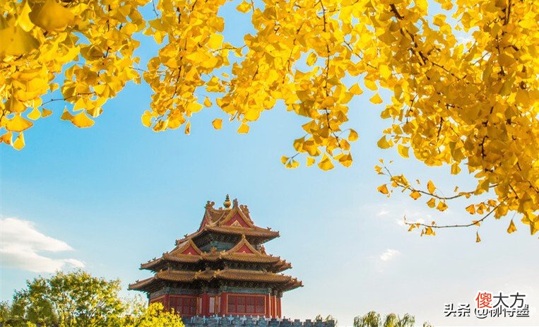 手机相机参考拍照吧 相机 手机拍照