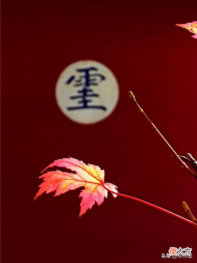 用手机和相机拍摄秋色 手机怎么拍秋色