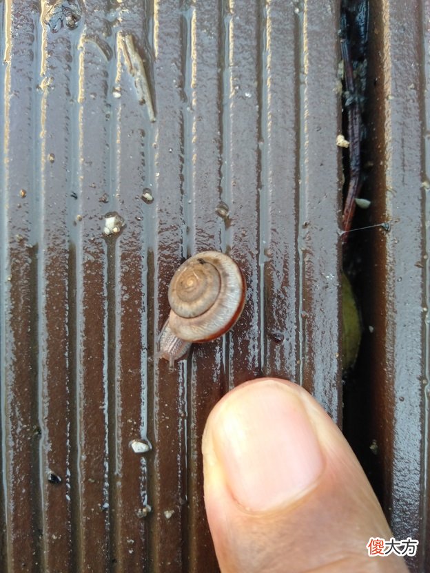 不懈地努力是关键 不懈地努力是什么意思