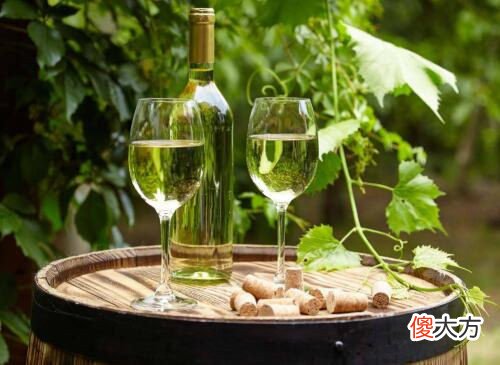 新西兰最好的白葡萄酒 新西兰葡萄酒品牌