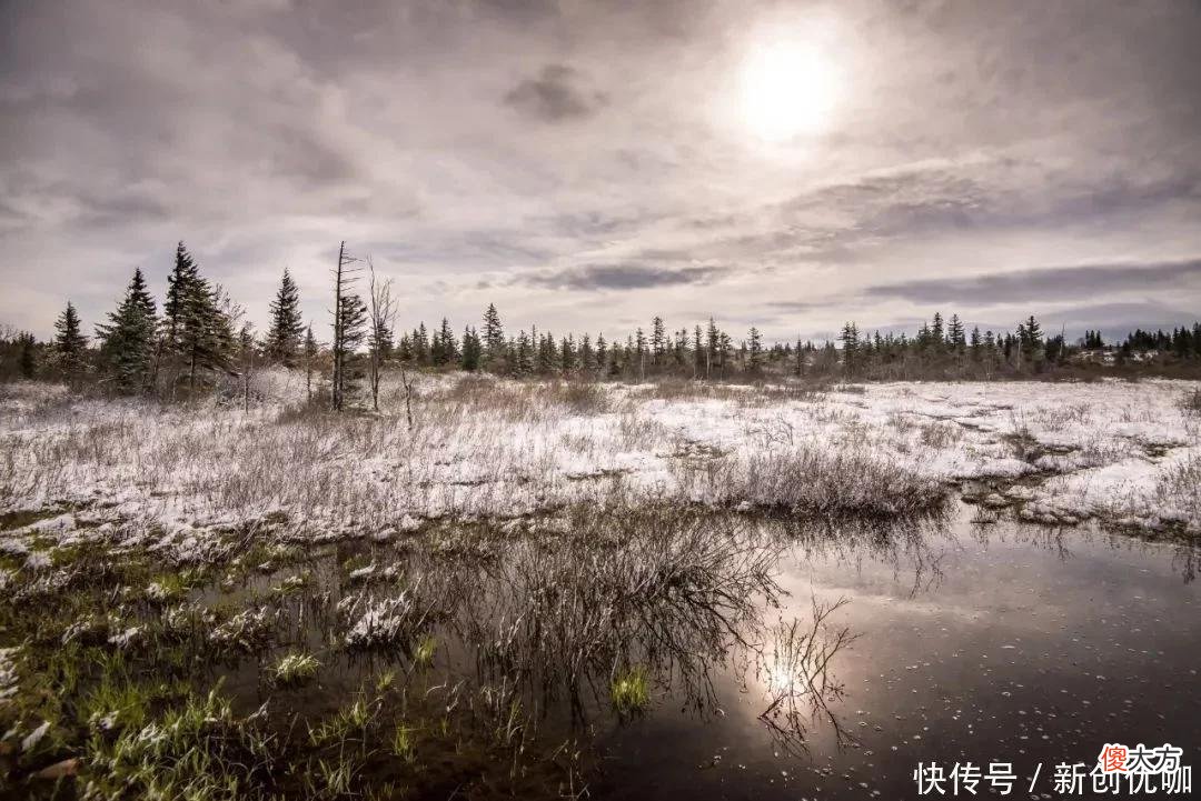 【十二星座】2022年，福多运旺，左右逢源，大有可为，创下辉煌的三个生肖