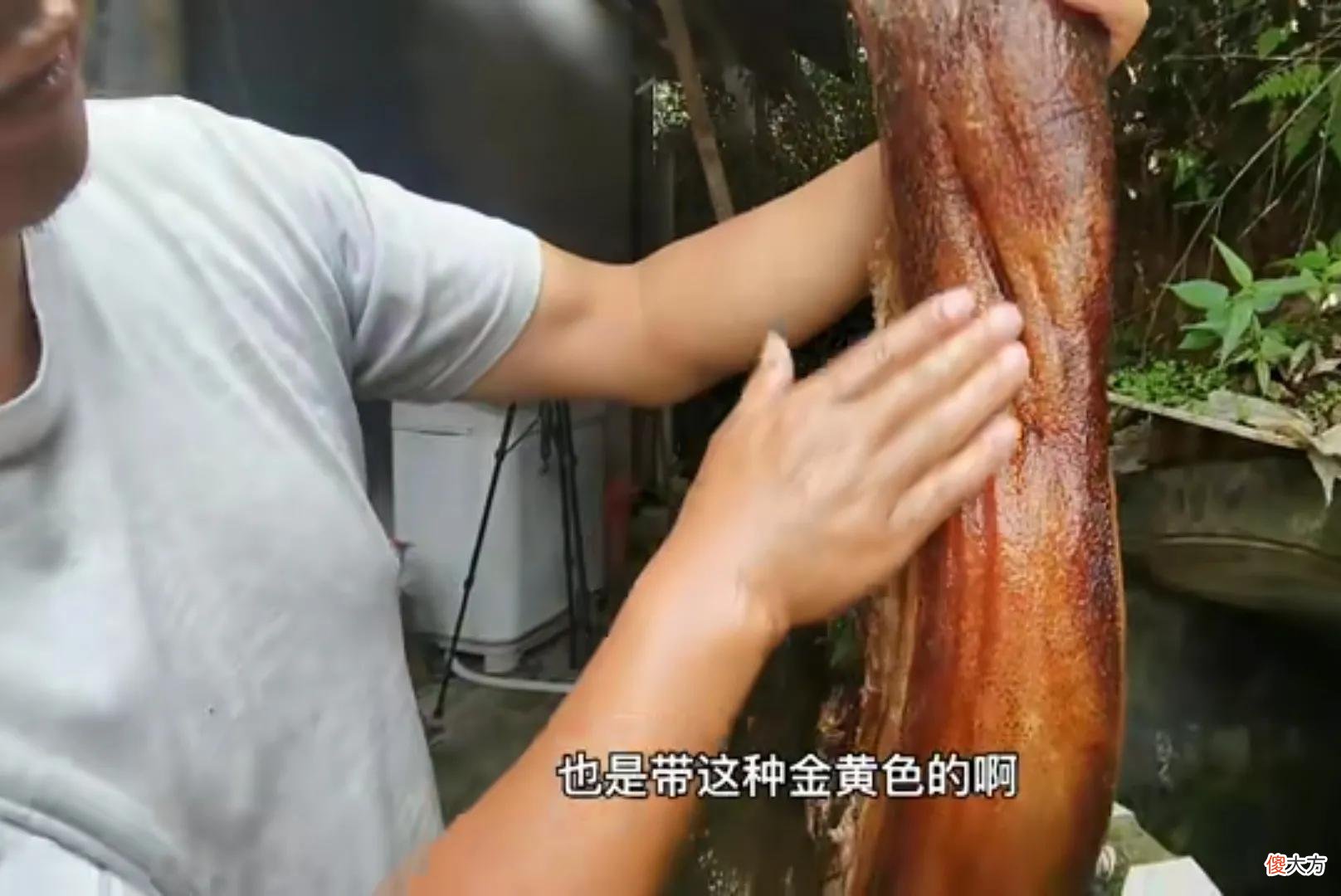 腊肉发霉了吃了会致癌 吃了发霉的腊肉