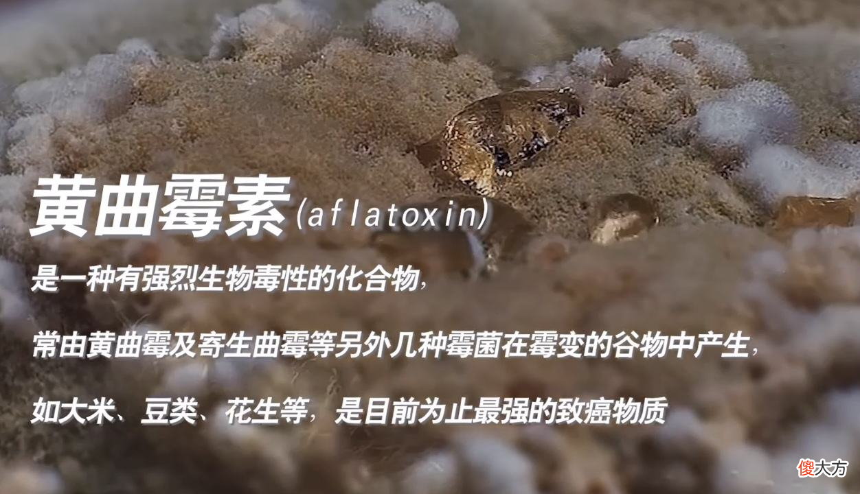农村自榨油真的不安全吗 农村自家榨的油好吗