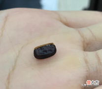 深圳奶茶中喝出黑色异物竟是蟑螂卵 珍珠奶茶喝出蟑螂卵