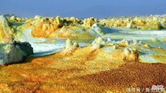 【星座控】5月，财势好，事业顺，一路添喜添财，富贵吉祥的三个生肖