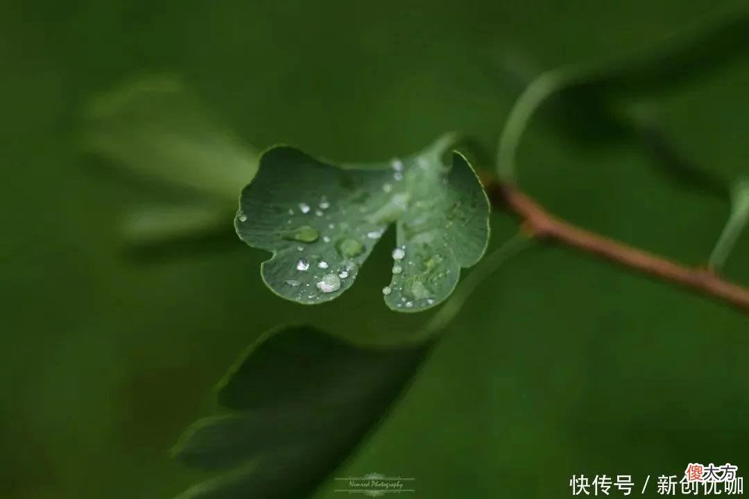 【星座控】5月，财势好，事业顺，一路添喜添财，富贵吉祥的三个生肖