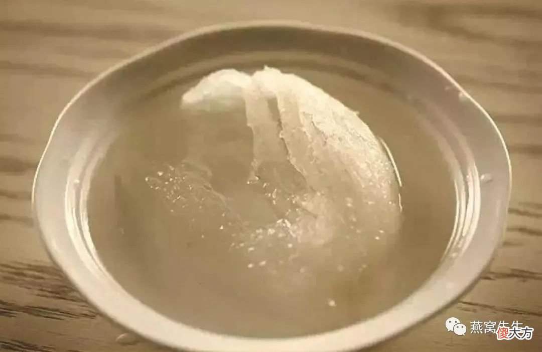 史上最细心的炖燕窝介绍没有之一真的拼了，你在问怎么炖就打人了