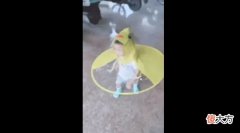 3种趣味室内游戏，让孩子在家嗨翻天