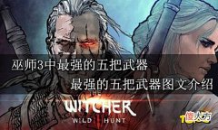 【游戏迷】巫师3中最强的五把武器最强的五把武器图文介绍