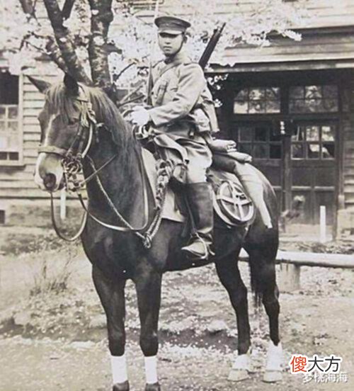 【爱历史】草原才盛产马匹?那是你们不知道一战时的欧洲马匹存量有多大