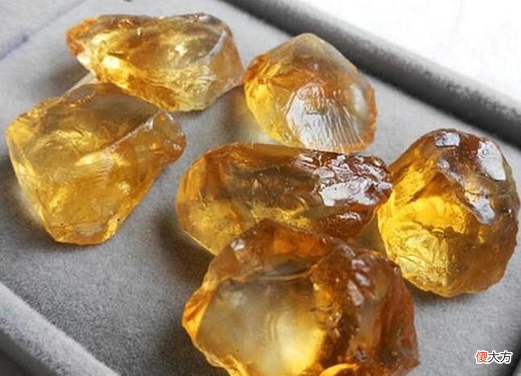 【游戏迷】《原神》原型考据！若陀龙王的原型，是白垩纪的甲龙？