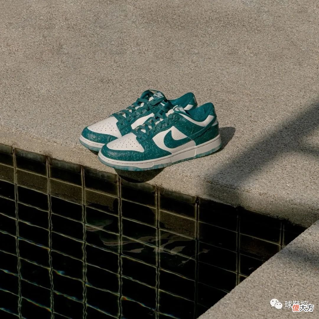 【时尚一点】海王耐克 Dunk 发售定档＆又一双值得期待的 SB Dunk 联名首曝光！