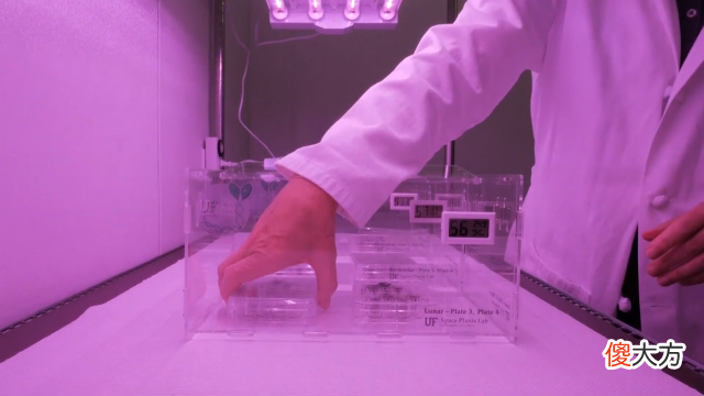 美国科学家首次使用月壤种植植物