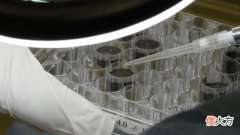 美国科学家首次使用月壤种植植物