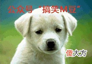 【爱历史】老照片：美若天仙的女孩，枪决后被子弹打成筛子的囚犯！