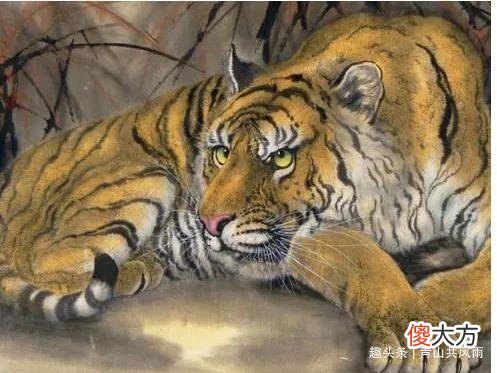 【星座控】六月，六合贵人进入你的命宫，财运旺盛的三个生肖