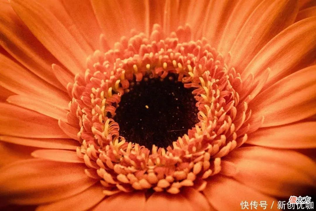 【星座控】容易被好运眷顾，顺心如意的三个生肖，5月将大有所为，喜逐颜开