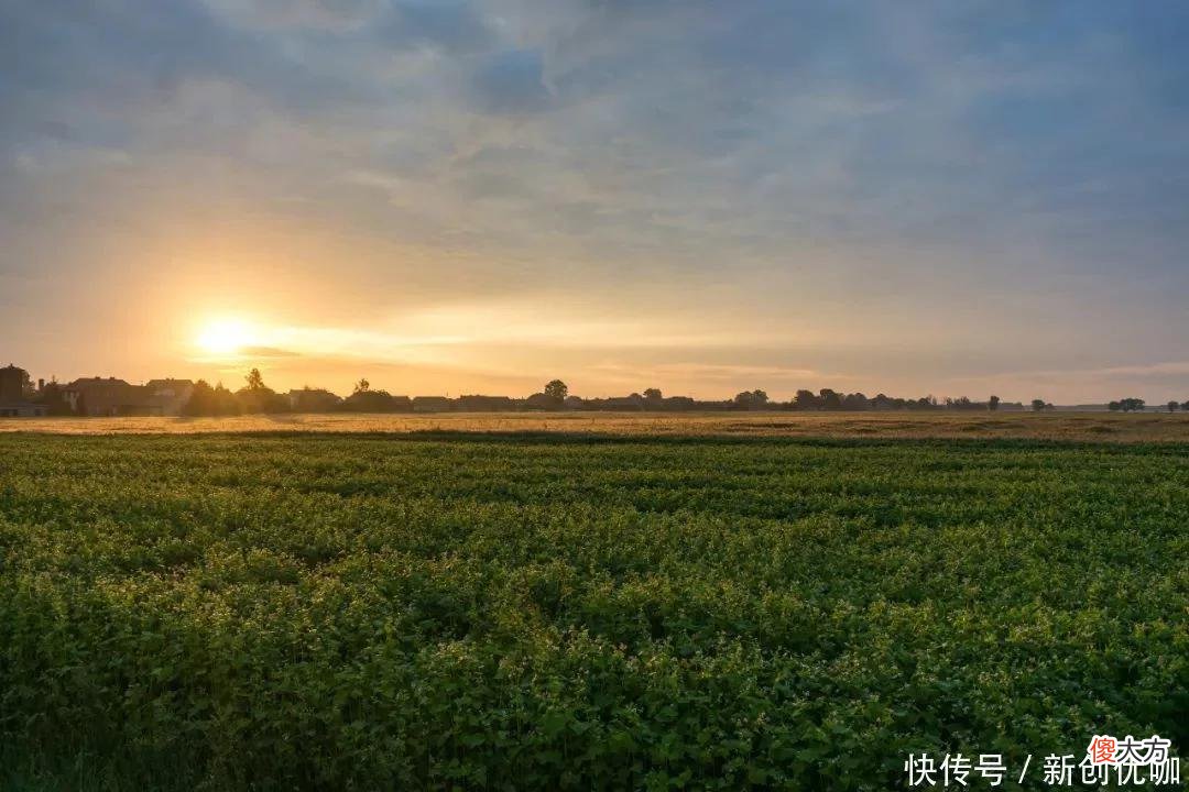 【十二星座】5月，事业红火，轻松赚大钱，运势大吉，注定变得富有的三个生肖