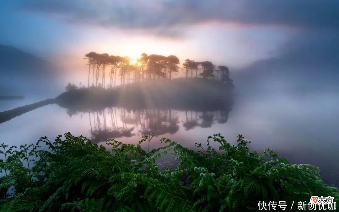 【十二星座】5月，事业红火，轻松赚大钱，运势大吉，注定变得富有的三个生肖