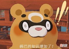 【游戏迷】原神开服仓鼠玩家有多能屯？看完我傻了