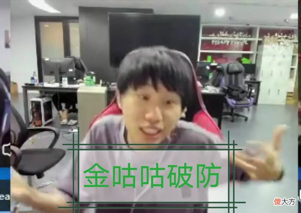 【游戏世界】王者荣耀：新英雄泽丽登场，doinb破防：你赶紧离职滚啊！