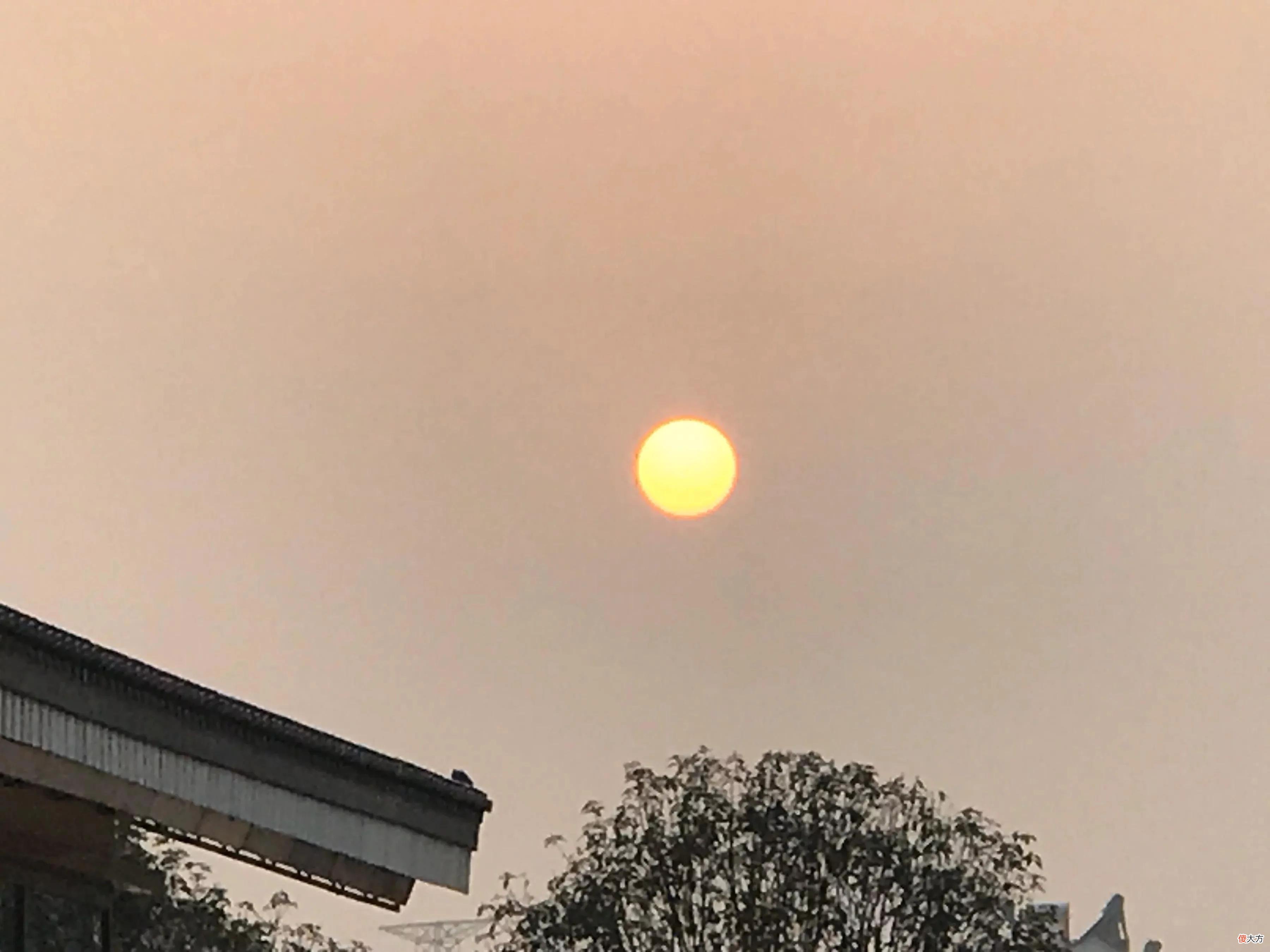 【时尚一点】还记得全网最火的黑色婚纱女孩吗？如今面目清秀，生活普通