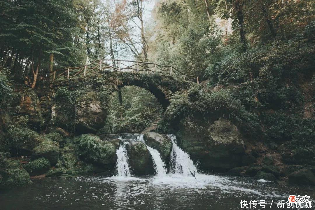 【星座控】5月，运气牛哄哄，努力不变，事业攀升，一路财源广进的三个生肖