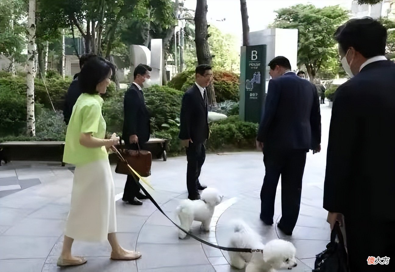 【时尚一点】韩国夫人外出遛狗遭围观！私服搭配暴露驼背身材，明星脸却看不够